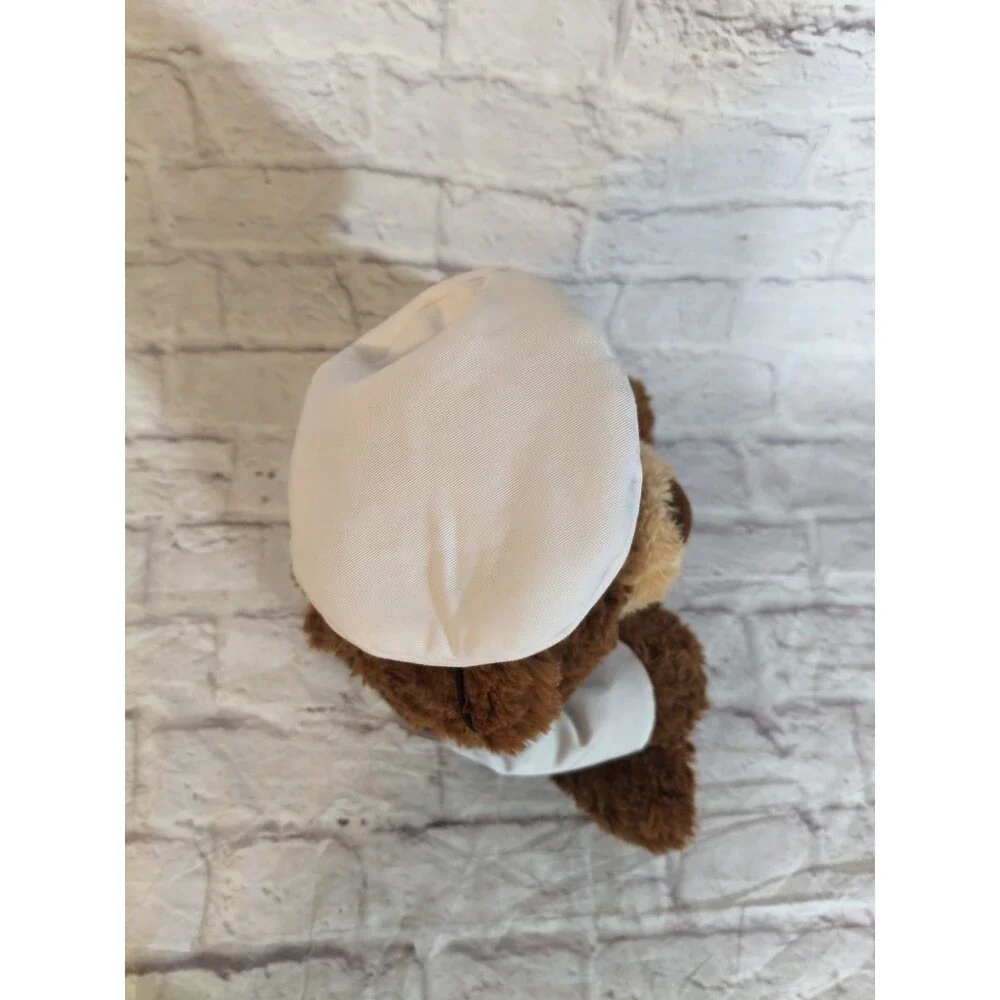 Princess Cruises Captain Stanley Teddy Bear Plush Stuffed Animal 13” New W/O Tag